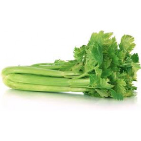 Celery bunch SPECIAL