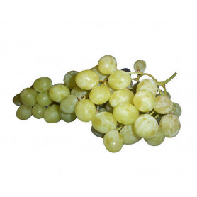 Grapes White Seedless kg SPECIAL