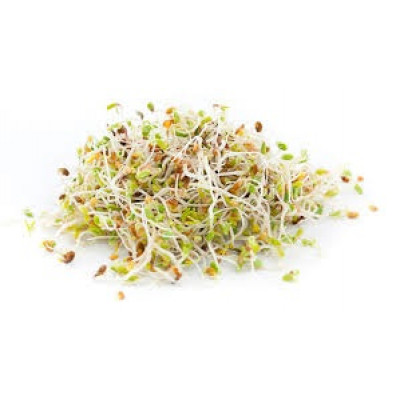Sprouts Alfalfa 125g punnet