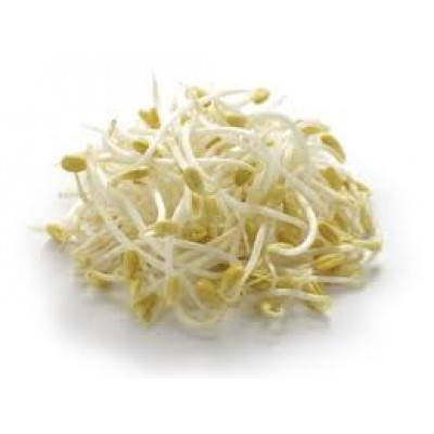 Sprouts Bean Sprouts 250g punnet