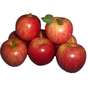Apples Royal Gala (Premium) each