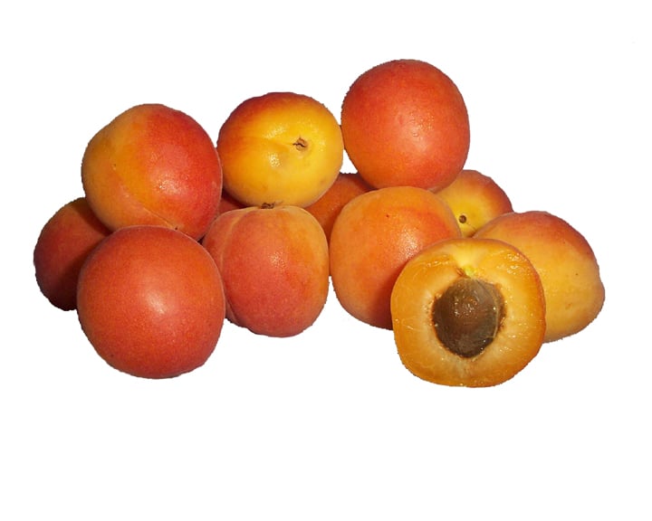Apricots 500g