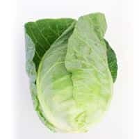 Cabbage Sugar Loaf each SPECIAL