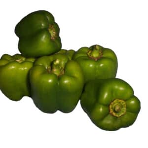 Capsicum Green each