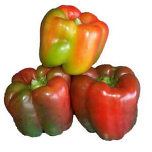 Capsicum Mixed Colour (Red/Green) each