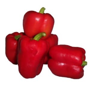 Capsicum Red each