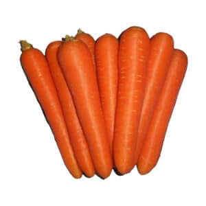 Carrots Medium kg