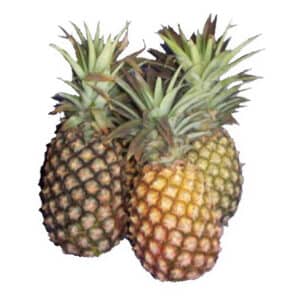 Pineapples Smooth Leaf each