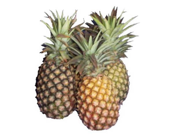 Pineapples Smooth Leaf each