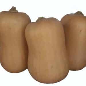 Pumpkin Butternut Kg